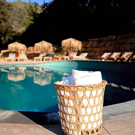 Glamping Bora