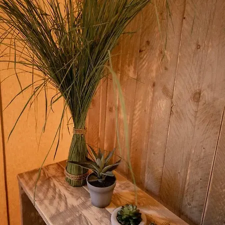 Glamping Bora Lodge *