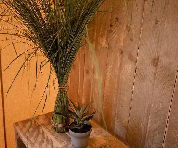 Glamping Bora Alojamento de Turismo Selvagem *