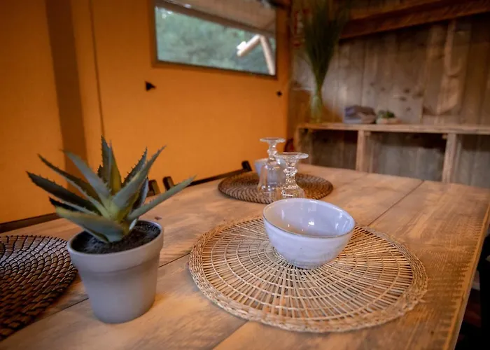 Alojamento de Turismo Selvagem Glamping Bora *